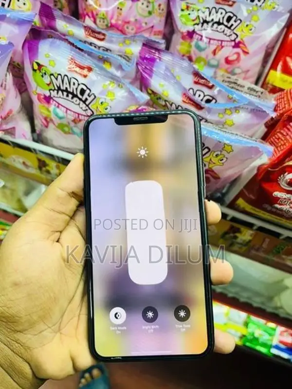 Apple iPhone 11 Pro Max (Used)