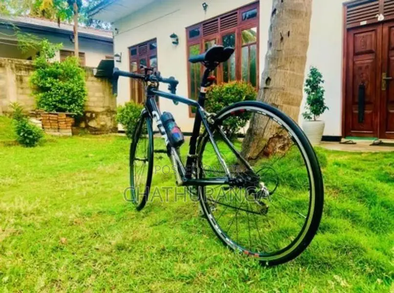 Racing Bicycle