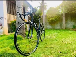 Racing Bicycle