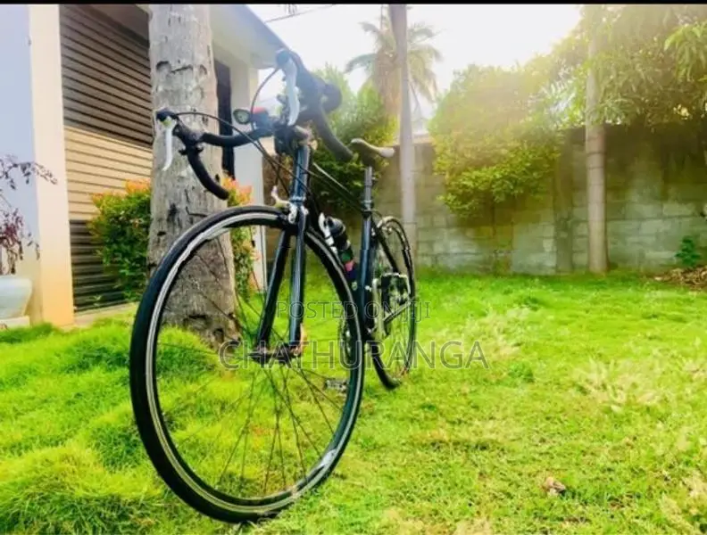 Racing Bicycle