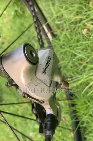 Racing Bicycle