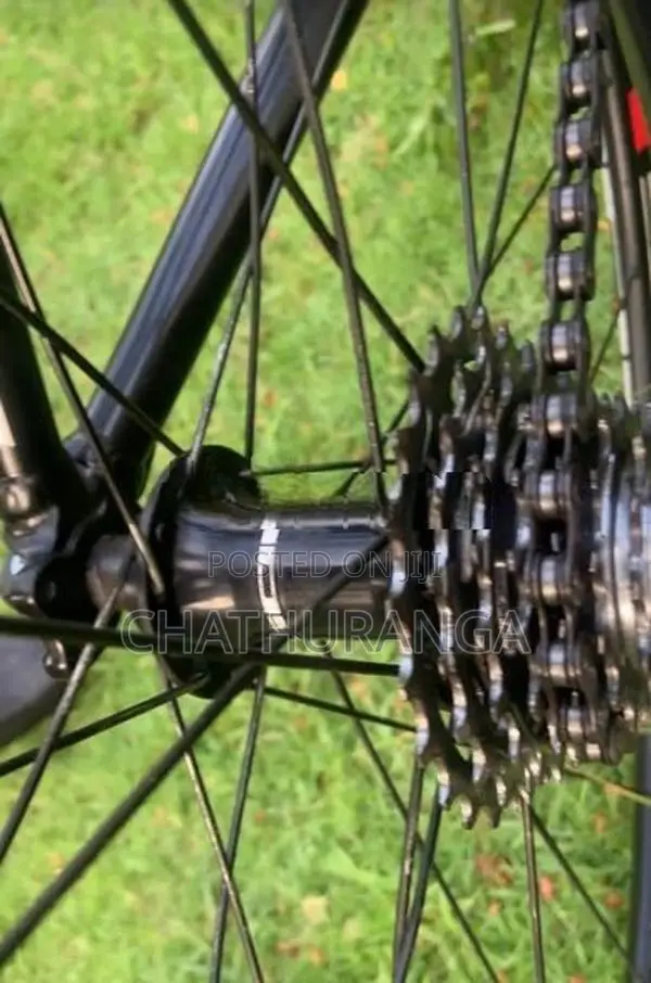Racing Bicycle