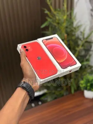 Apple iPhone 12 128GB (Used)