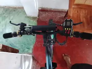 Tomahawk Bicycle 26'