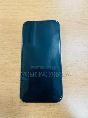 Apple iPhone 12 (Used)