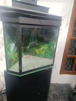 Fish Tank