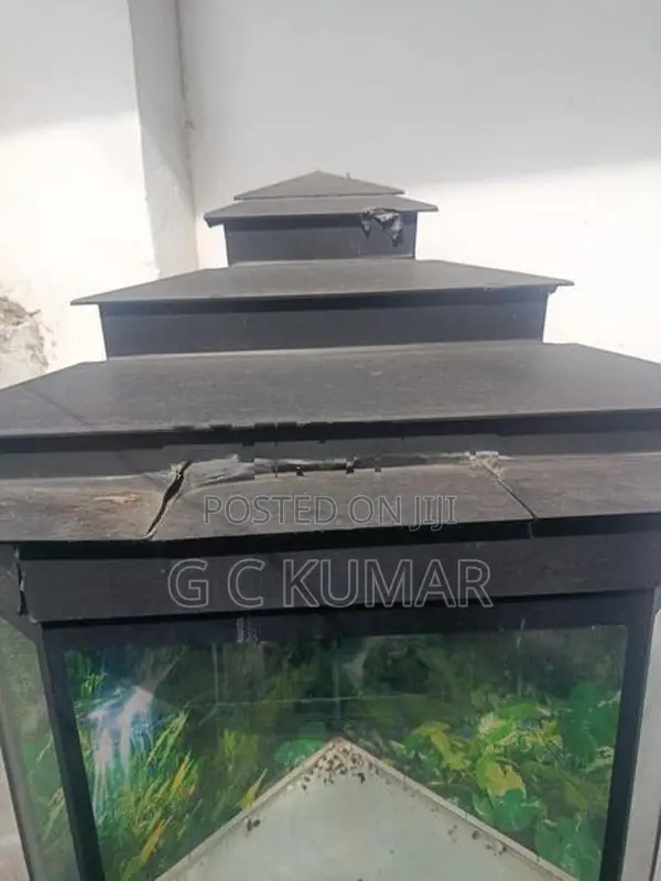 Fish Tank