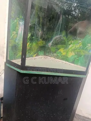Fish Tank