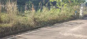 Best Residential Land for Sale in Malabe Close to Nevil Hospital