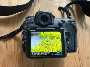 Nikon D500