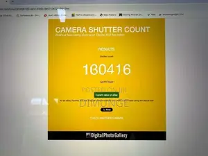 Nikon D500