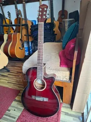 Toyama Japan Semi Acoustic Guitar