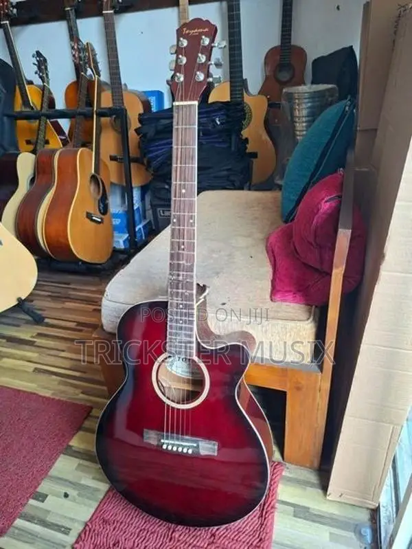 Toyama Japan Semi Acoustic Guitar