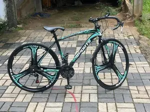Sports Bicycle