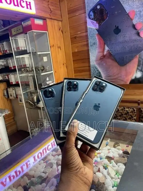 Apple iPhone 12 Pro Max (Used)