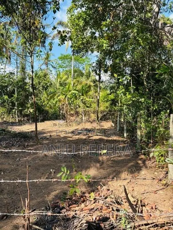 Land for Sale in Polgahwatha Ganemulla