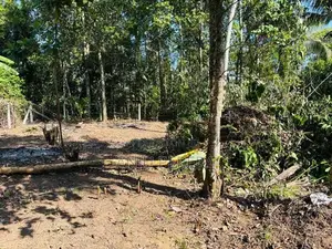 Land for Sale in Polgahwatha Ganemulla