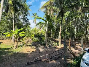 Land for Sale in Polgahwatha Ganemulla