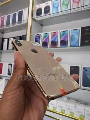 Apple iPhone XS Max (Used)