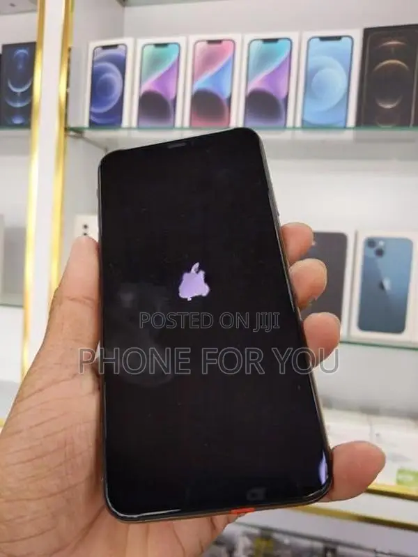 Apple iPhone XS Max (Used)