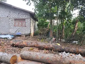 Prime Land with Old House – Near IDH / Angoda
