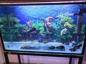 Fish Tank Full Set