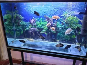 Fish Tank Full Set