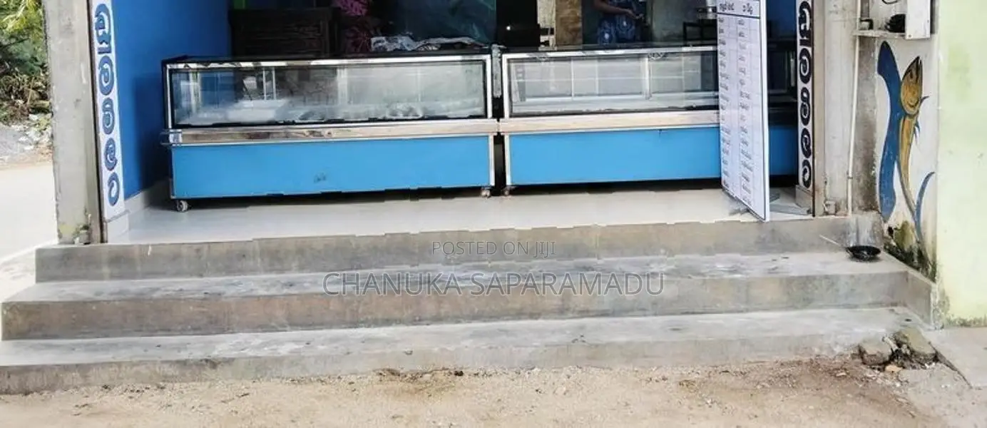Display Freezer