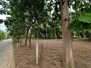 කතරගමින් අගනා ඉඩමක් විකිණීමට ඇත