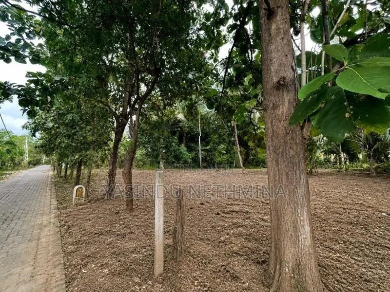 කතරගමින් අගනා ඉඩමක් විකිණීමට ඇත