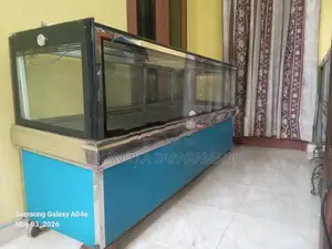 Display Freezer