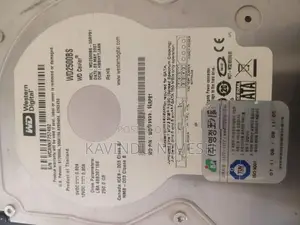WD Hard Drive 250GB