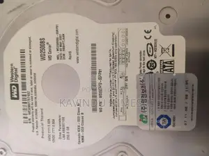 WD Hard Drive 250GB