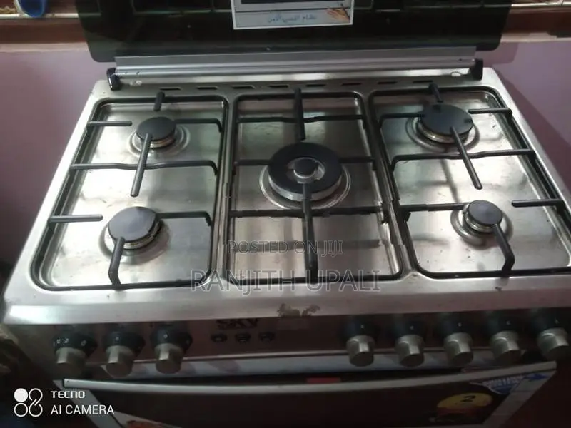 Electronic Gas Stove with Burner