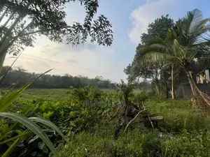 Land for Sale Koralaima