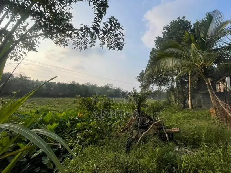 Land for Sale Koralaima