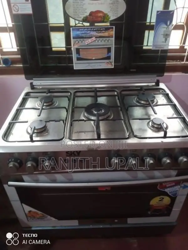 Electronic Gas Stove with Burner
