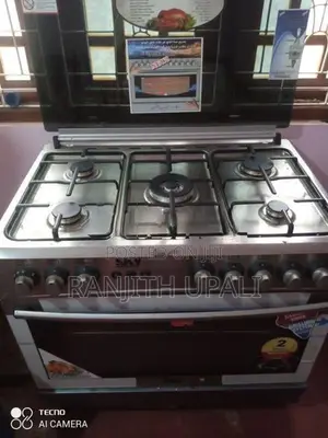 Electronic Gas Stove with Burner