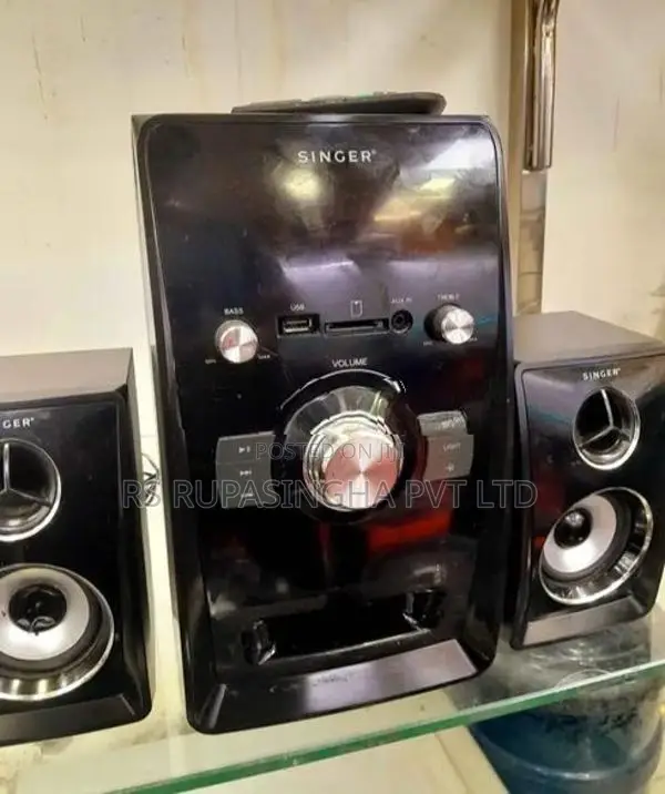 Singer 2 in1 Subwoofer