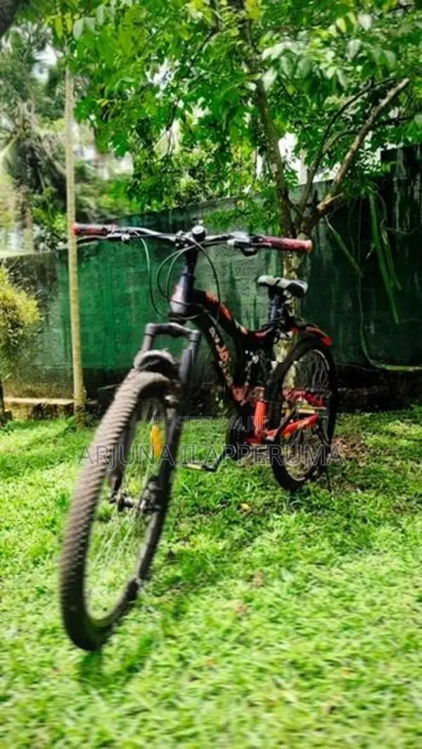 Bicycle