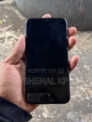 Apple iPhone X 256GB (Used)