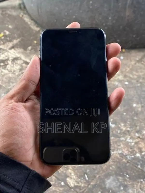 Apple iPhone X 256GB (Used)