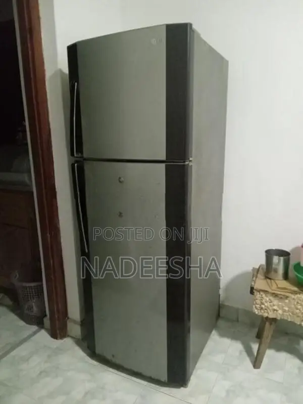 LG Fridge Refrigerator - 250L