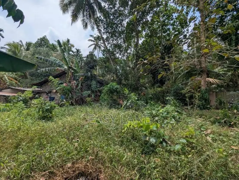 Land for Sale in Mirigama