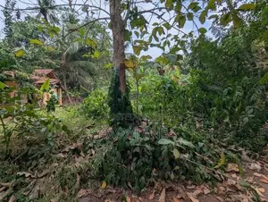 Land for Sale in Mirigama