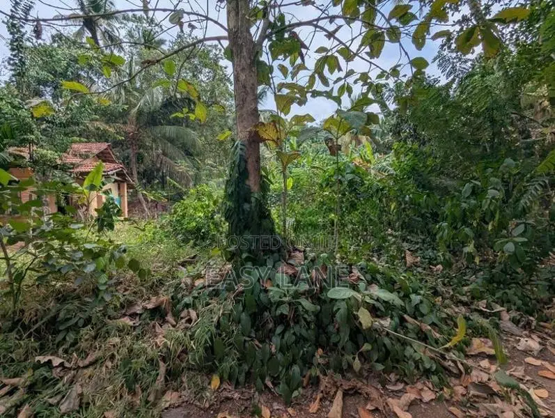 Land for Sale in Mirigama