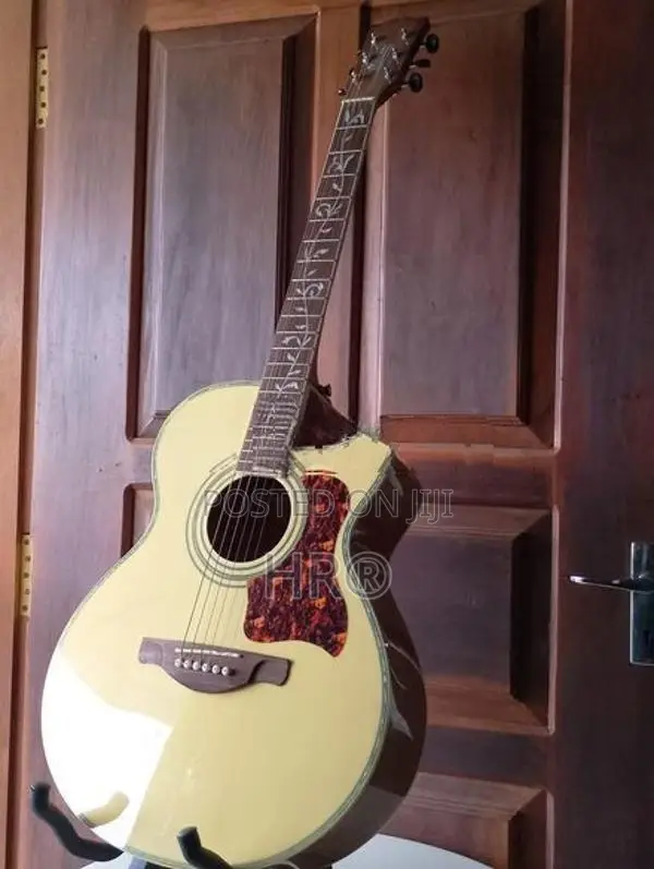 Dadarwood Guitar with Soft Case