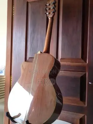 Dadarwood Guitar with Soft Case
