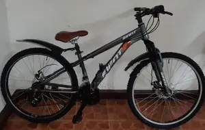 Mountain Bicycle