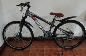 Mountain Bicycle